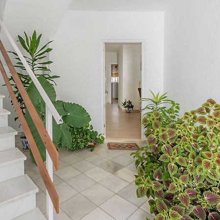 Apartamento Los Naranjos En Vejer Vejer de la Frontera Exterior foto